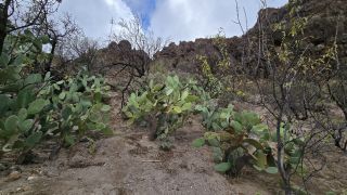 2024-11-GranCan-Guayadeque-072.jpg